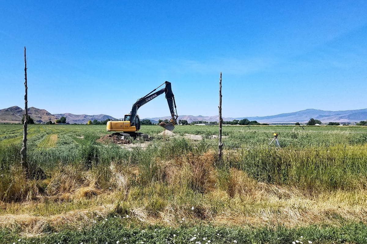 Excavator digging in a green rural field with mountains and blue sky in the background.